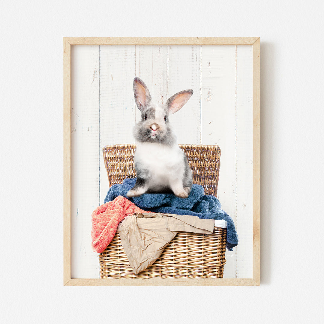 a rabbit sitting on top of a basket