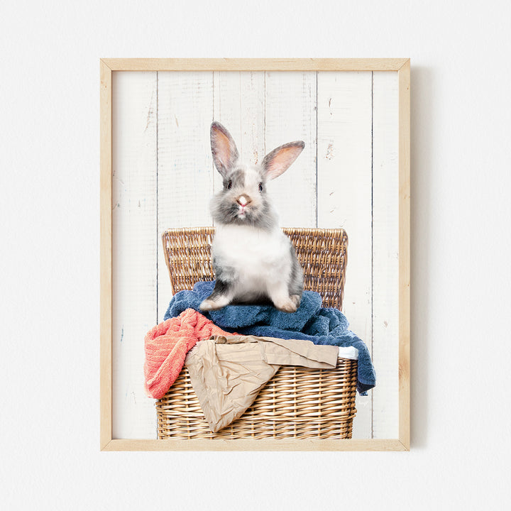 a rabbit sitting on top of a basket