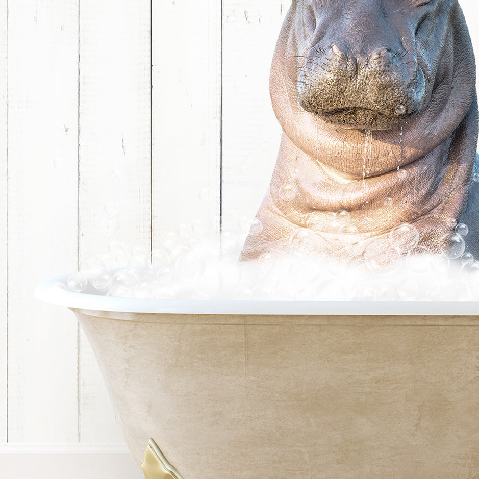 a hippopotamus sitting in a bathtub full of foam