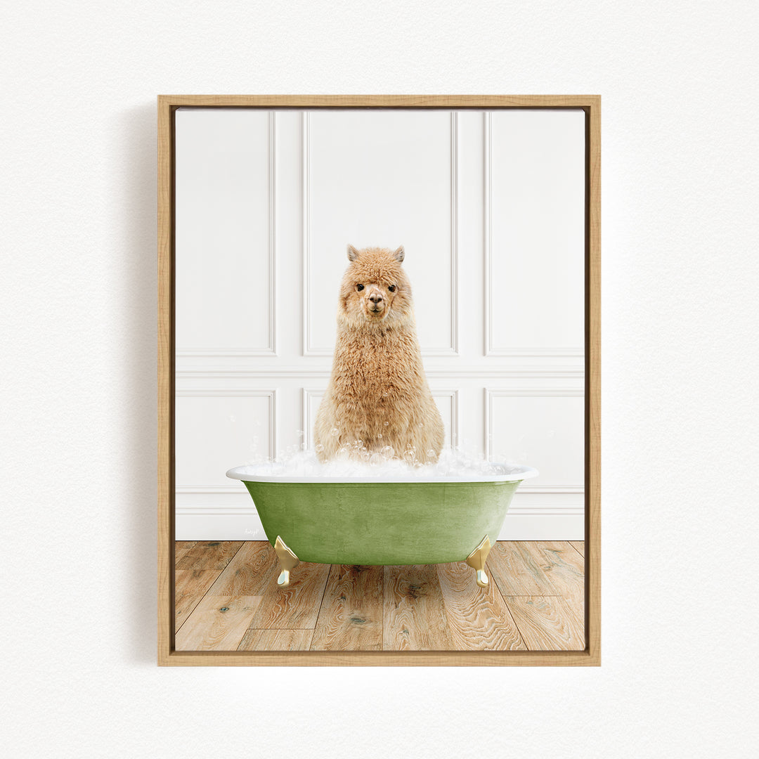 A fluffy brown dog sitting in a green bathtub filled with water, with a white wall and wooden floor in the background.