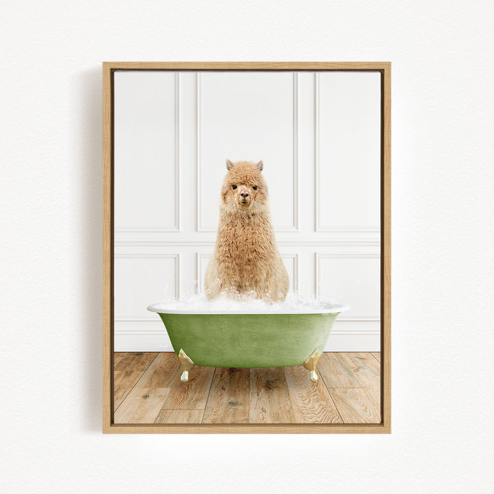 A fluffy brown dog sitting in a green bathtub filled with water, with a white wall and wooden floor in the background.