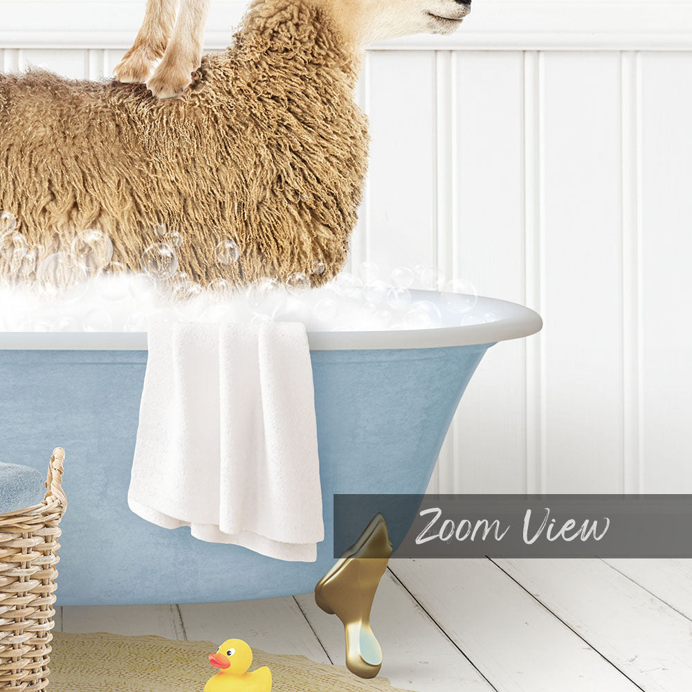 A fluffy brown dog is sitting in a blue bathtub filled with water, surrounded by a yellow rubber duck and a white towel.