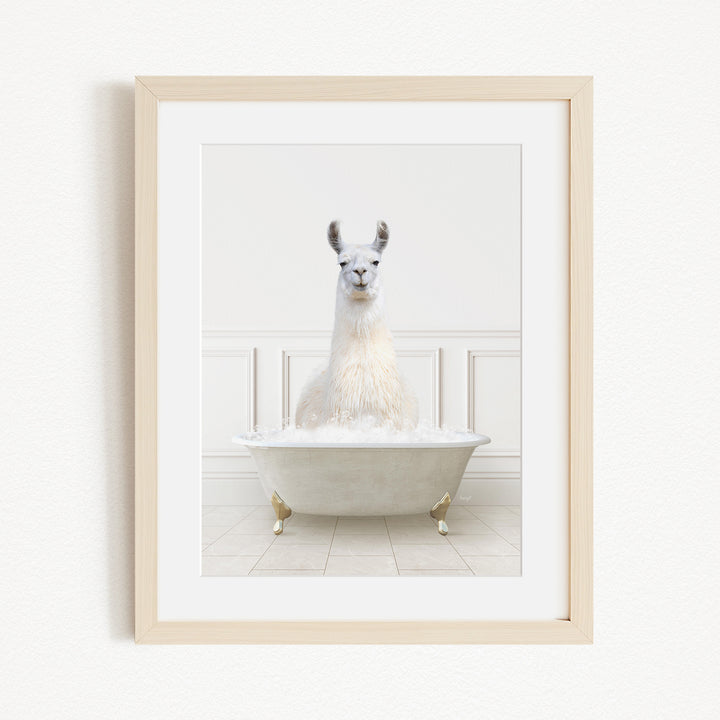 A white llama sitting in a white bathtub filled with bubbles, creating a whimsical and playful scene.