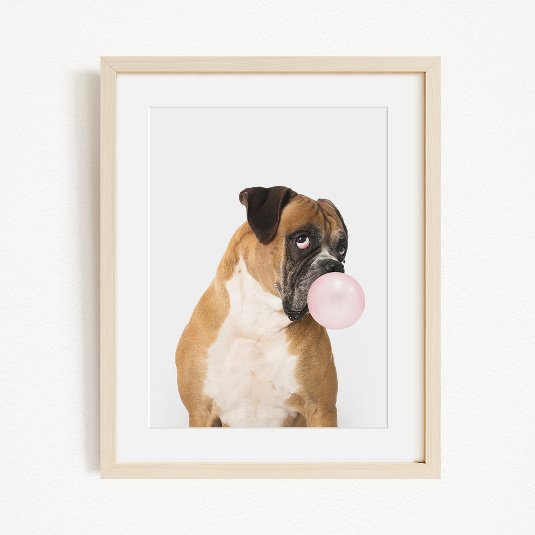 A brown and white dog is blowing a pink bubble with its mouth, creating a playful and whimsical scene.