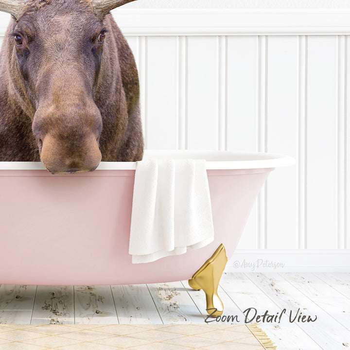 A moose is sitting in a pink bathtub, with a white towel and gold bathtub leg visible.
