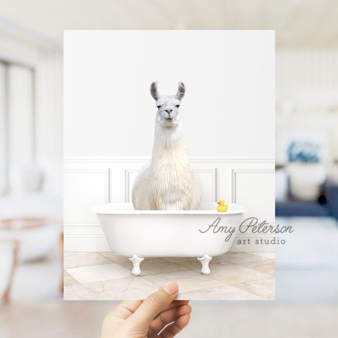 a llama sitting in a bathtub with a rubber duck in it