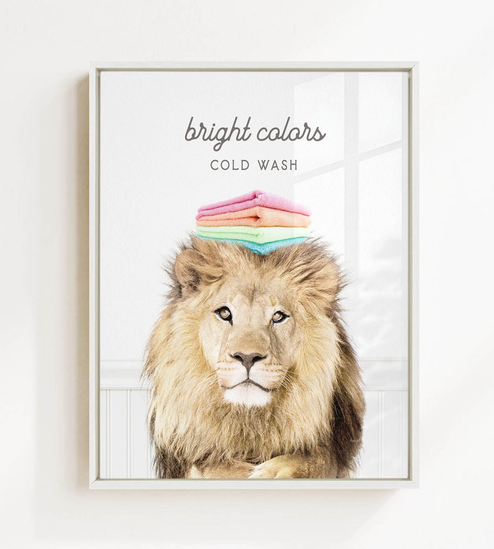 A framed image of a lion with a stack of colorful towels on its head, accompanied by the text "bright colors" and "COLD WASH".