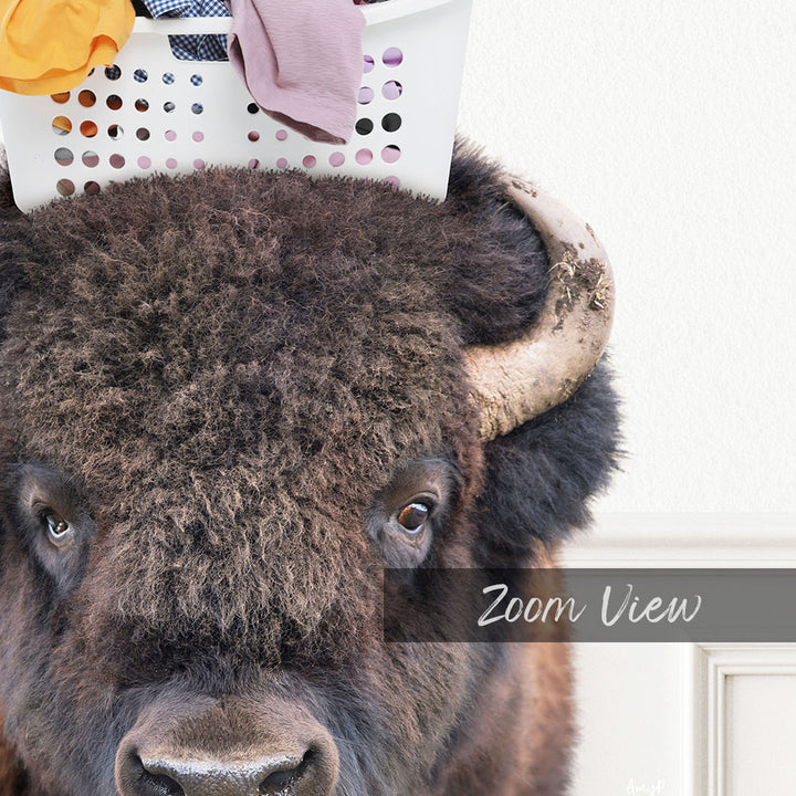 A close-up of a bison's head, with a laundry basket on top of its head, and the text "Zoom View" overlaid on the image.