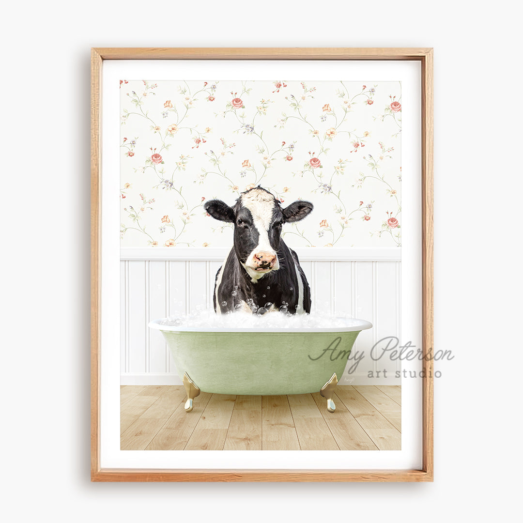 a black and white cow sitting in a bathtub