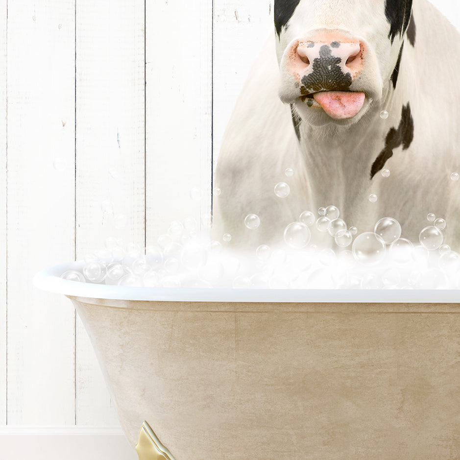 a cow sticking its tongue out in a bathtub full of bubbles