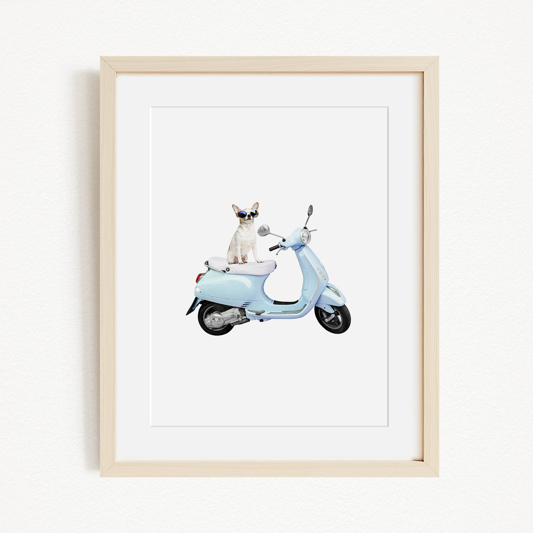 A small white dog wearing sunglasses is sitting on a light blue scooter.