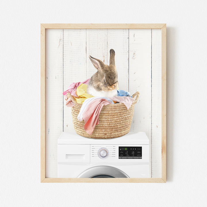 a picture of a bunny sitting in a laundry basket