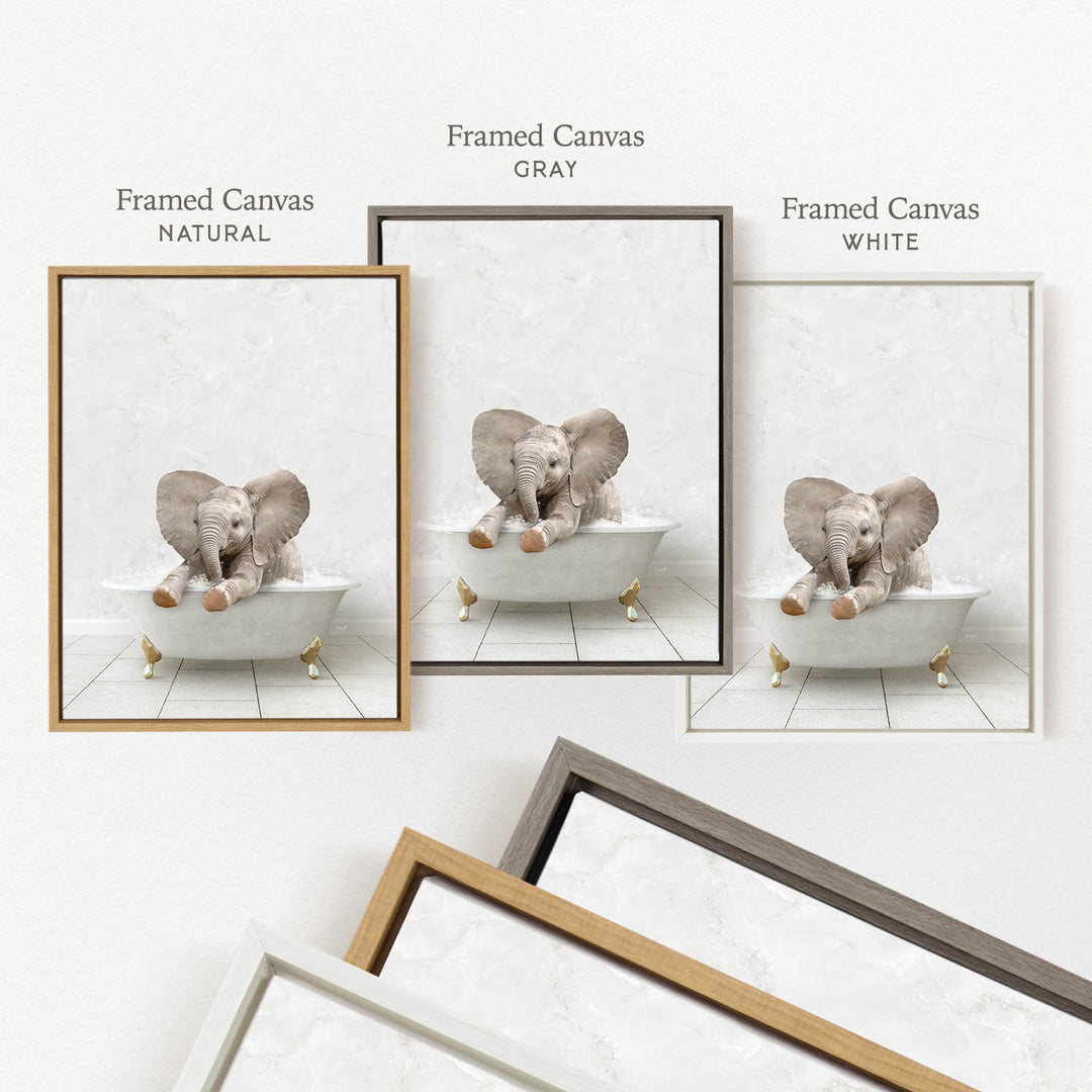 three framed pictures of elephants sitting in bathtubs, each with a different color frame.