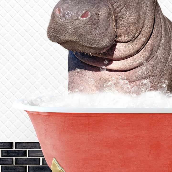 a hippopotamus sitting in a bathtub with bubbles