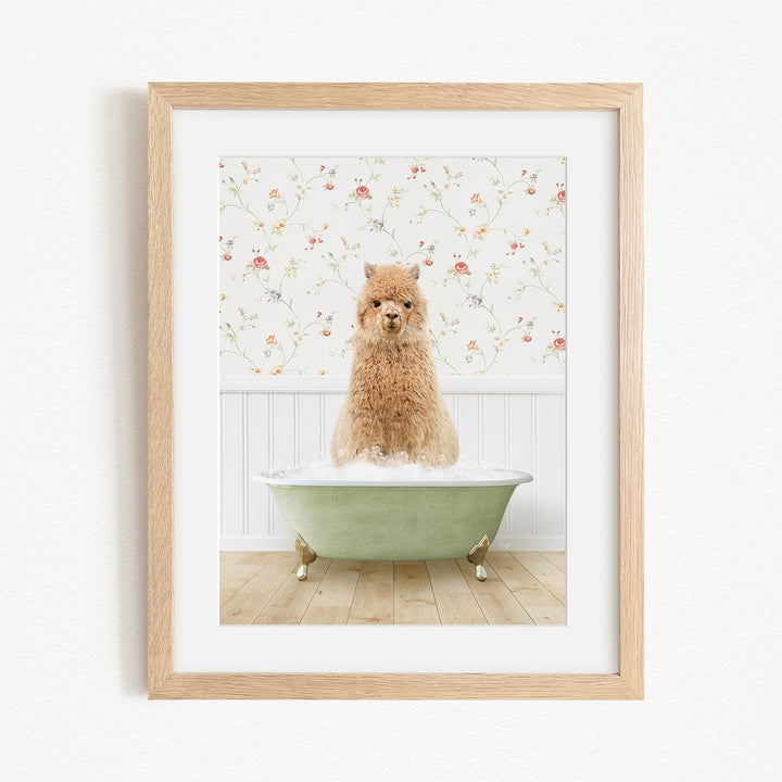 A fluffy brown dog sitting in a green bathtub filled with bubbles, with a floral wallpaper in the background.
