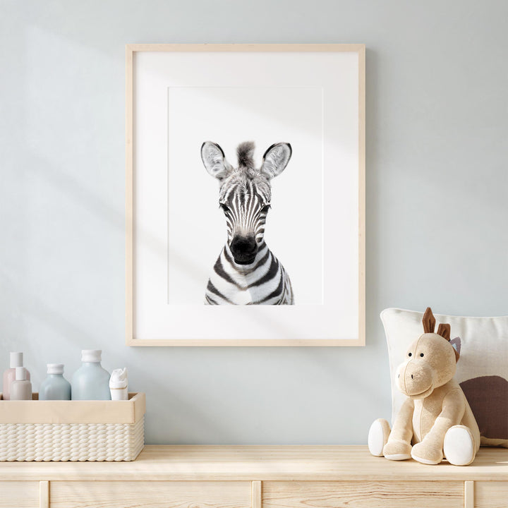 a picture of a zebra is hanging on a wall