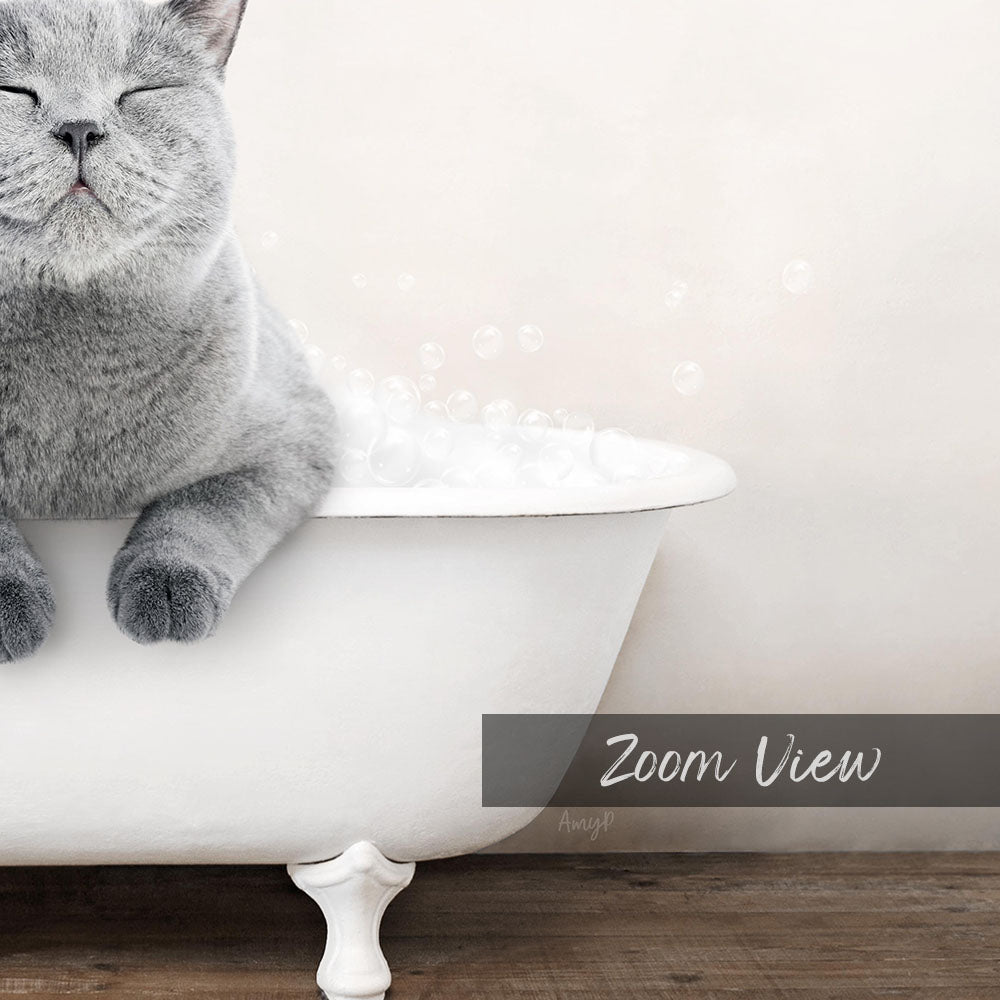 A gray cat sitting in a white bathtub filled with bubbles, with the text "Zoom View" below the image.