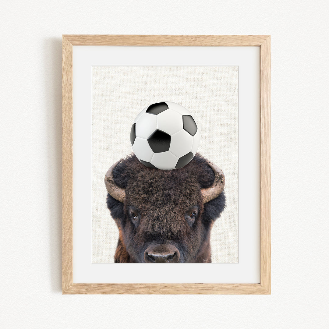 A framed image of a bison with a soccer ball on its head.