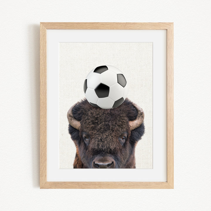 A framed image of a bison with a soccer ball on its head.