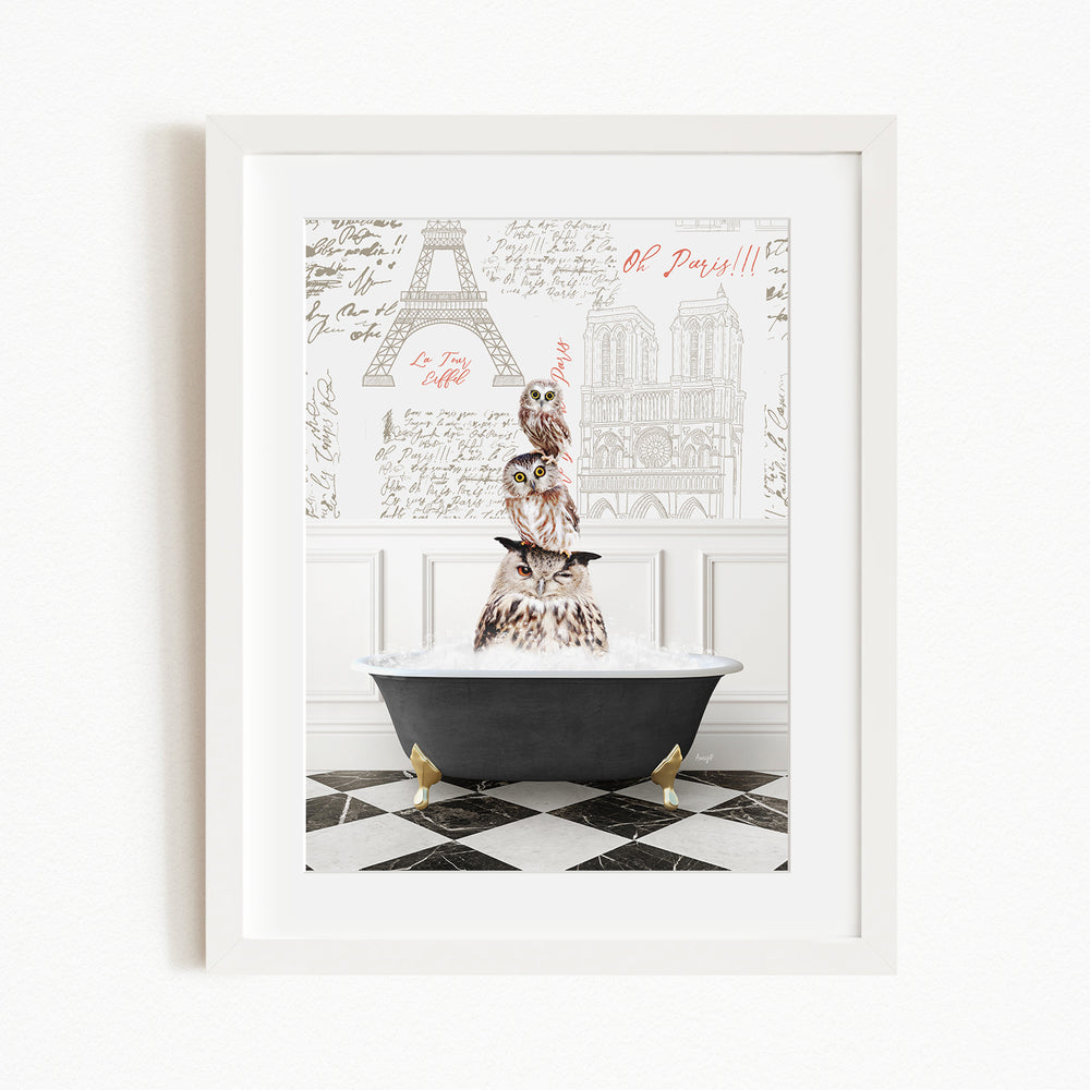 A framed image depicting a black bathtub filled with water, with three owls perched on the rim of the tub. The background features a drawing of the Eiffel Tower and other architectural elements.