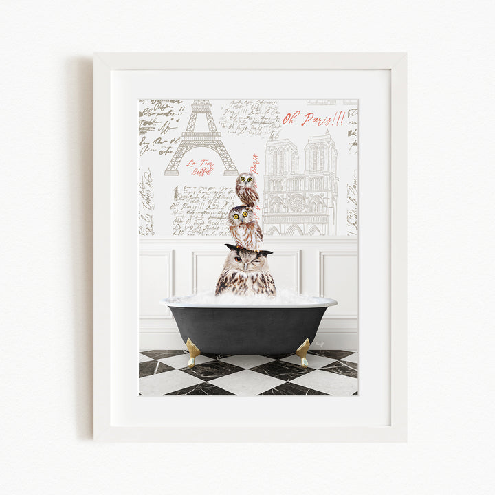 A framed image depicting a black bathtub filled with water, with three owls perched on the rim of the tub. The background features a drawing of the Eiffel Tower and other architectural elements.