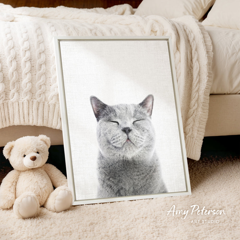 A framed photograph of a smiling gray cat is displayed on a bed, accompanied by a teddy bear.