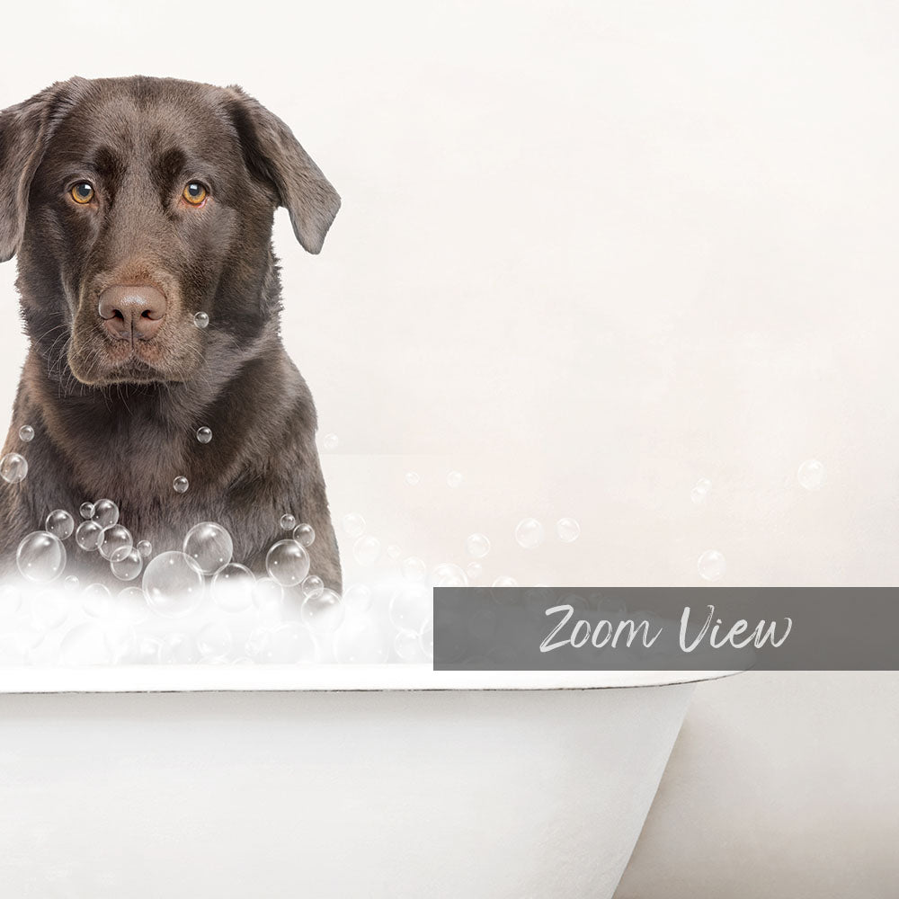 A black dog sitting in a bathtub filled with bubbles, with the word "Zoom View" written on the side of the tub.