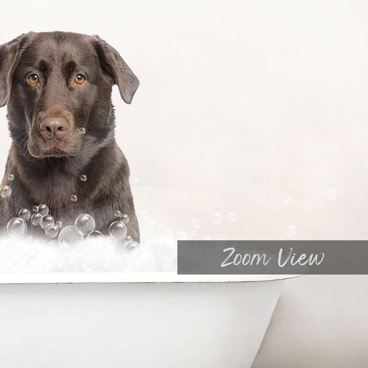 A black dog sitting in a bathtub filled with bubbles, with the word "Zoom View" written on the side of the tub.