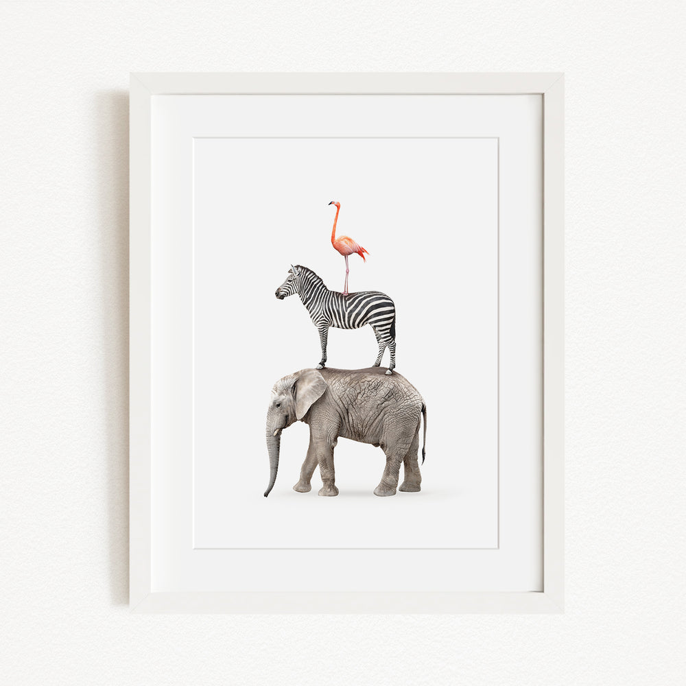 A framed image depicting a zebra standing on the back of an elephant.