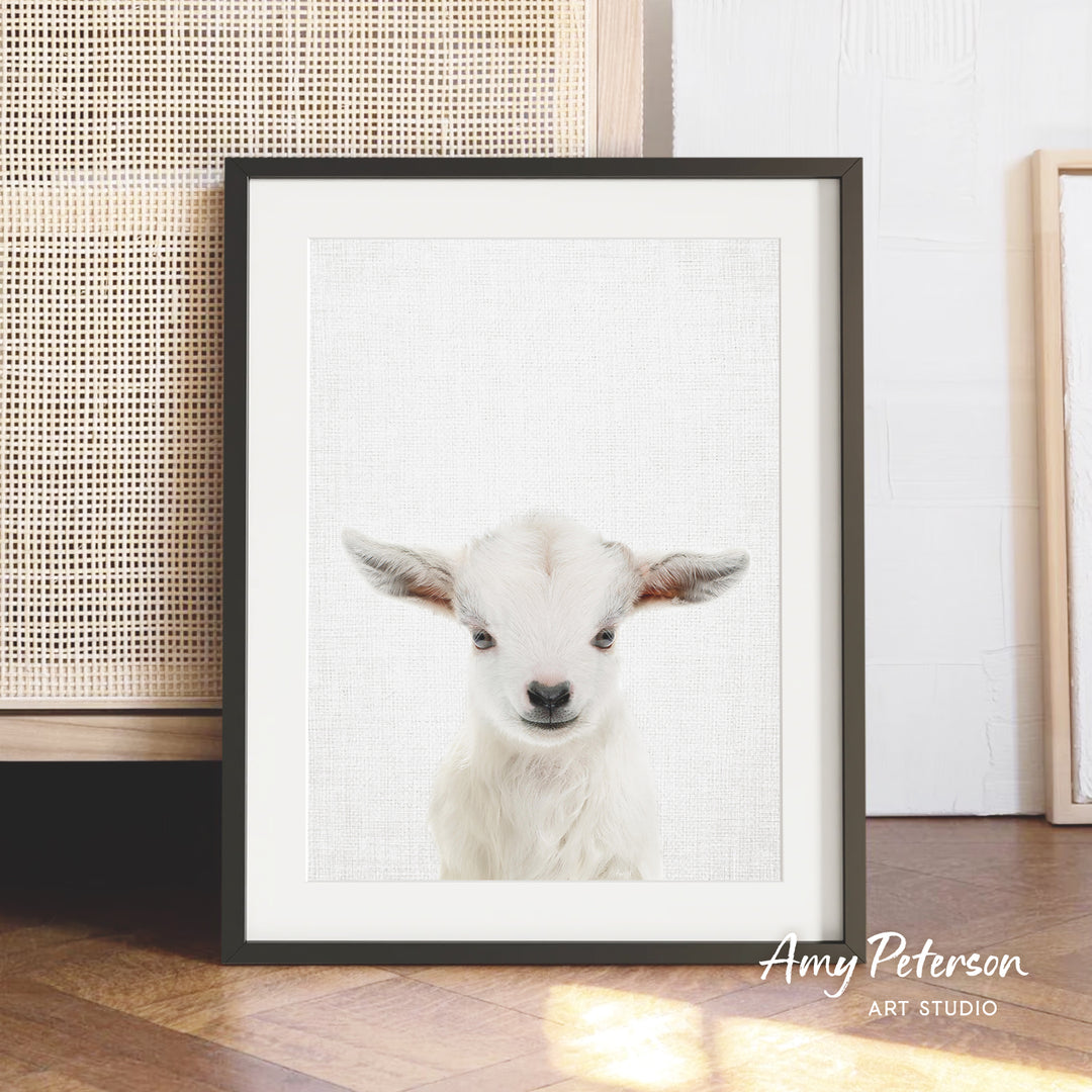 A framed photograph of a white goat with large ears, displayed on a wooden floor against a white wall.
