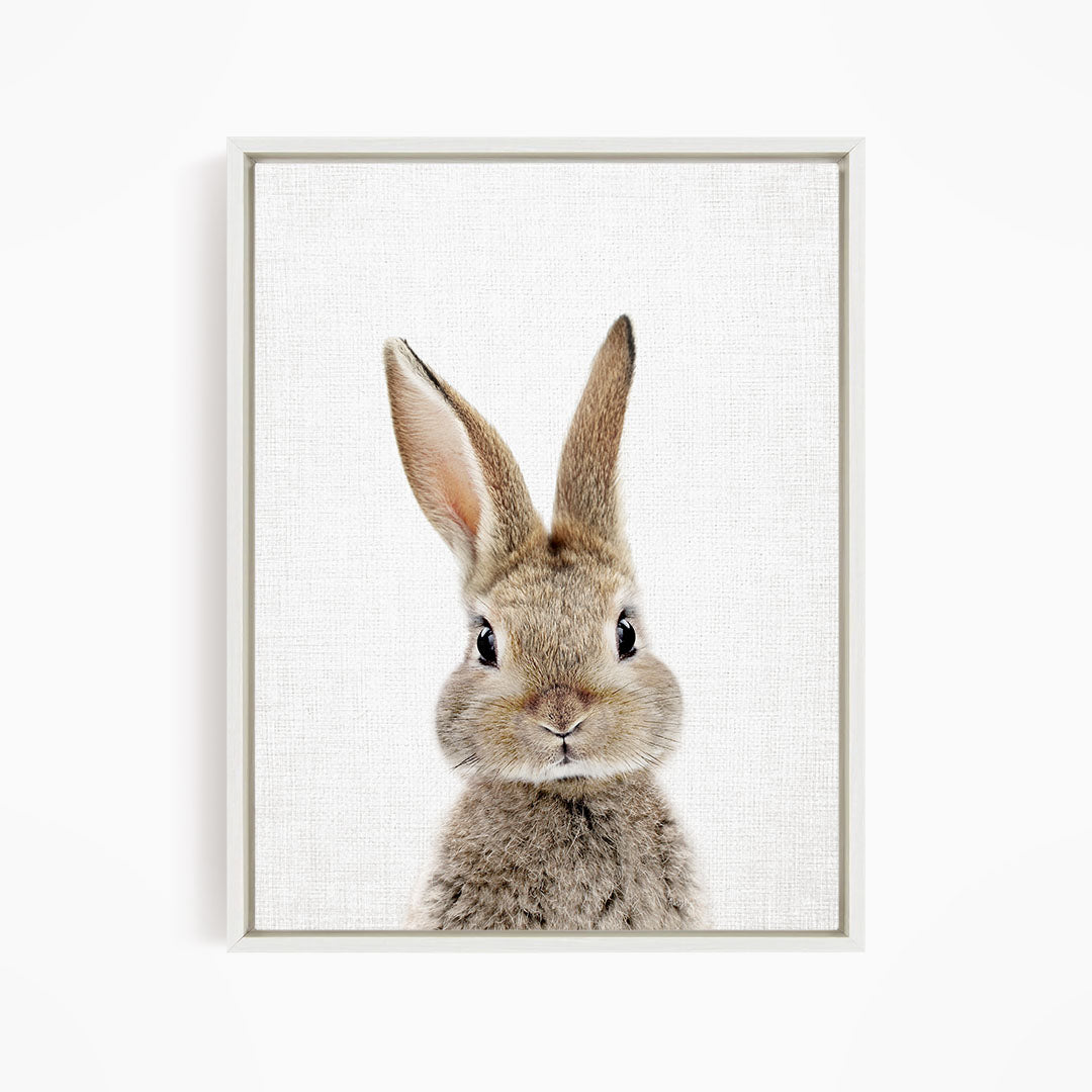 A cute, fluffy rabbit with large ears and a curious expression is the main subject of the image.