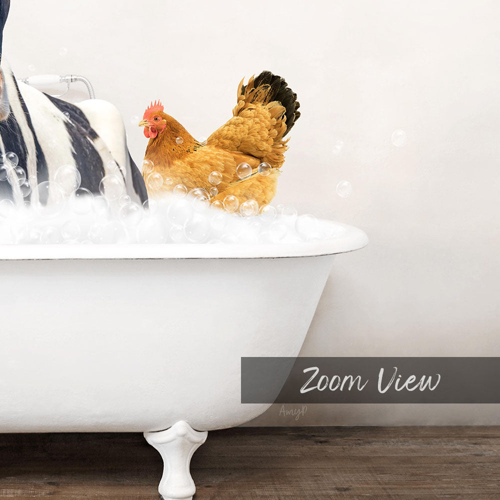 A chicken standing in a bathtub filled with bubbles, with the text "Zoom View" below the image.