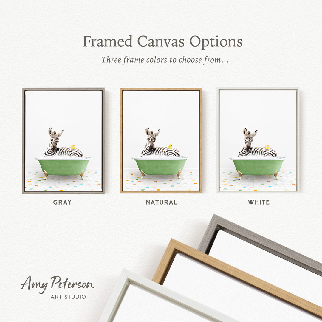 three framed canvas options, each featuring a zebra sitting in a bathtub with a yellow flower. The options include a gray frame, a natural frame, and a white frame.