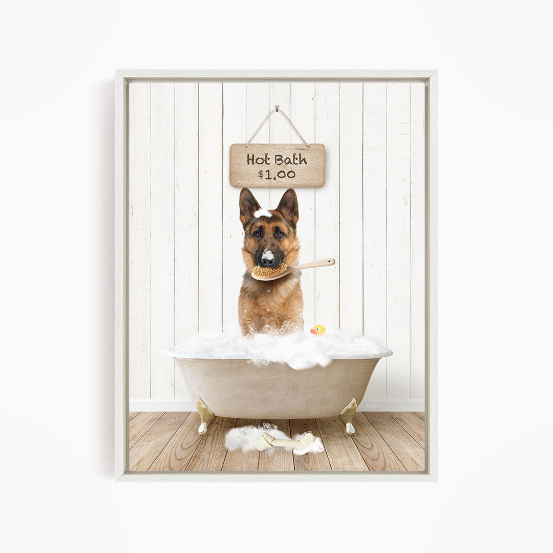 A German Shepherd dog sitting in a bathtub filled with bubbles, with a sign above the dog that reads "Hot Bath $1.00".