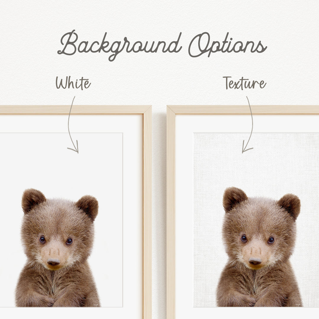 a close-up of a cute brown bear cub, with two framed pictures side by side. The text above the images indicates that there are two different backgrounds available, with one being white and the other being a textured background.