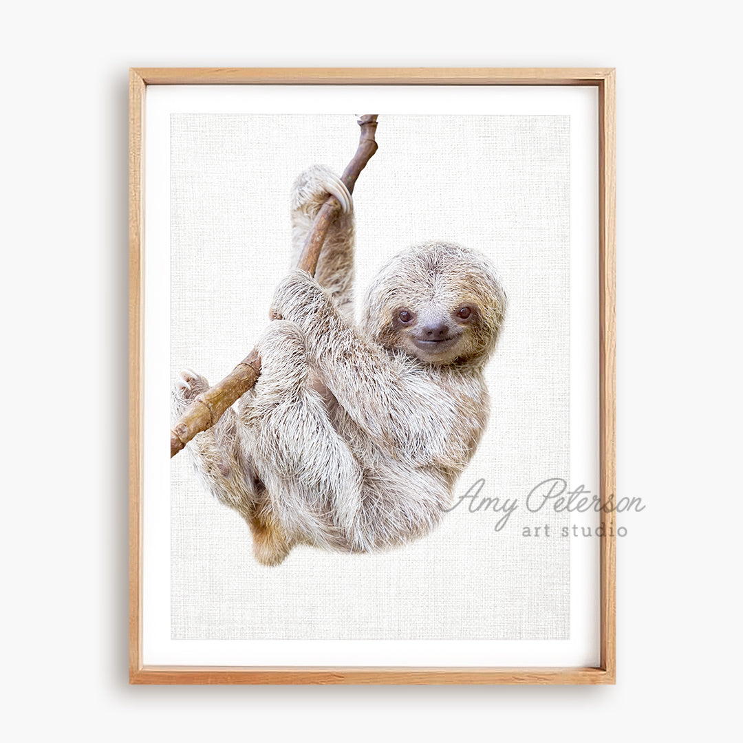 a picture of a sloth hanging on a branch