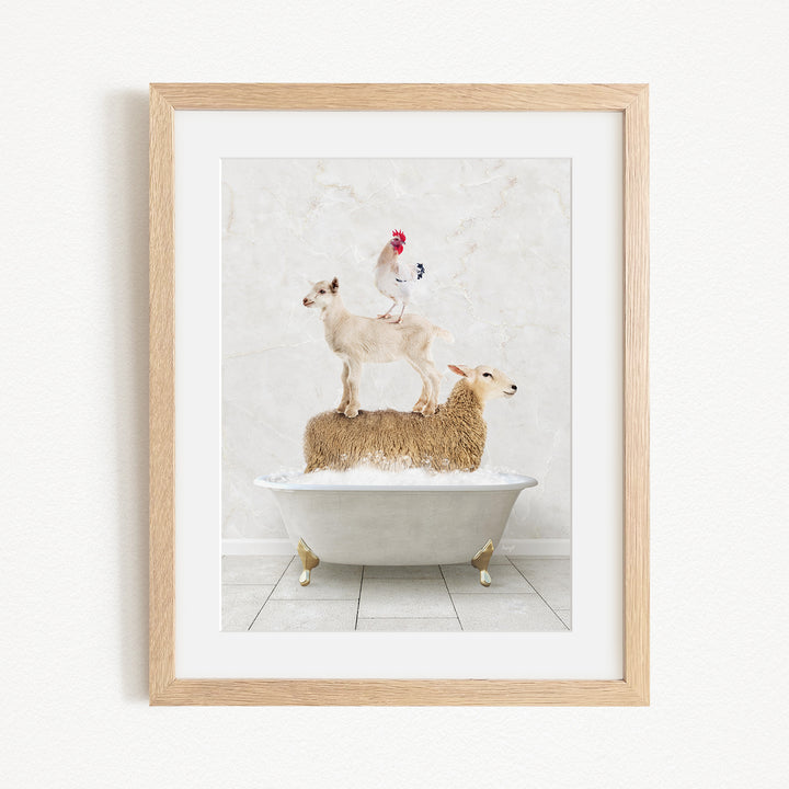 A framed image depicting a goat standing on a sheep's back while a rooster stands on top of the sheep, all in a bathtub.