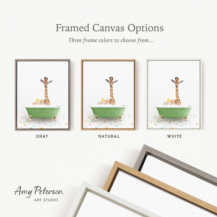three framed canvas options, each featuring a giraffe in a bathtub. The options include a gray frame, a natural frame, and a white frame. The text above the images reads " Framed Canvas Options" and "Three frame colors to choose from...".