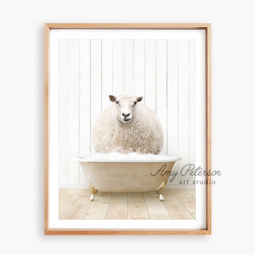 a sheep sitting in a bathtub with a white wall behind it