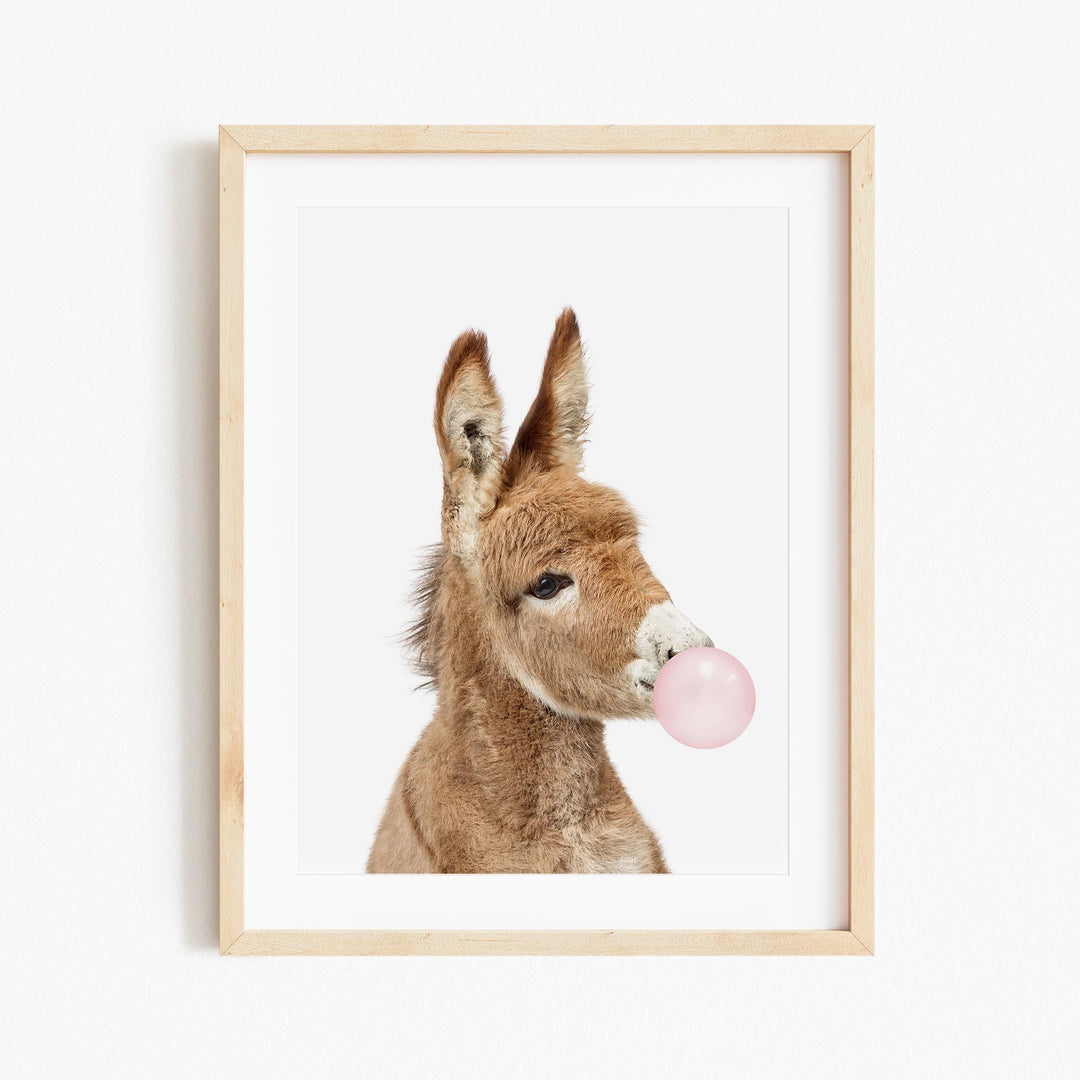 a picture of a baby donkey with a pink bubble in its mouth