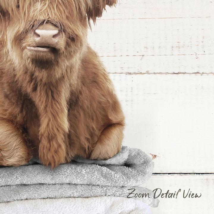 A close-up of a furry brown animal, possibly a dog or a cat, sitting on a stack of towels against a white background.
