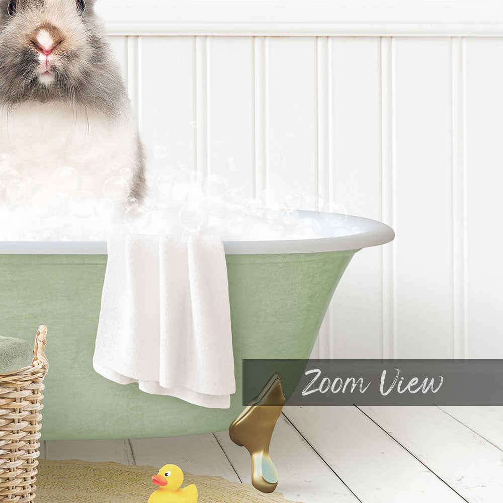 A fluffy gray and white rabbit sits in a green bathtub filled with bubbles, surrounded by a yellow rubber duck and a white towel.