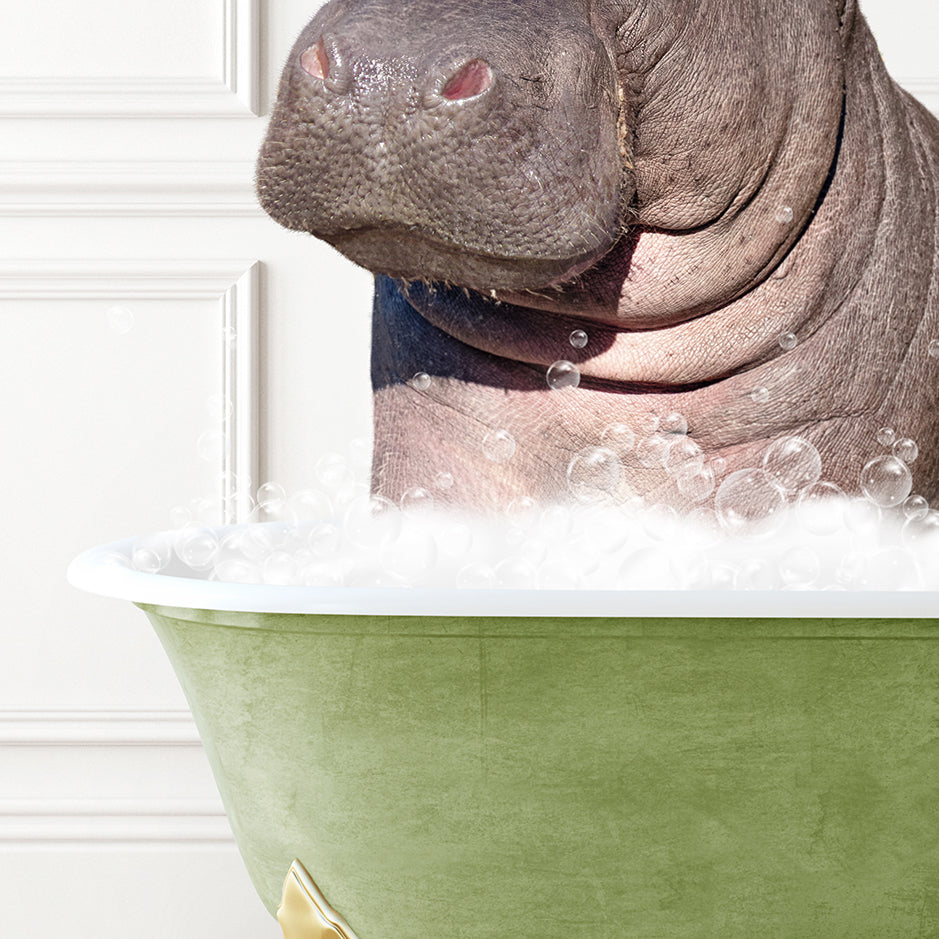 a hippopotamus sitting in a bathtub full of bubbles