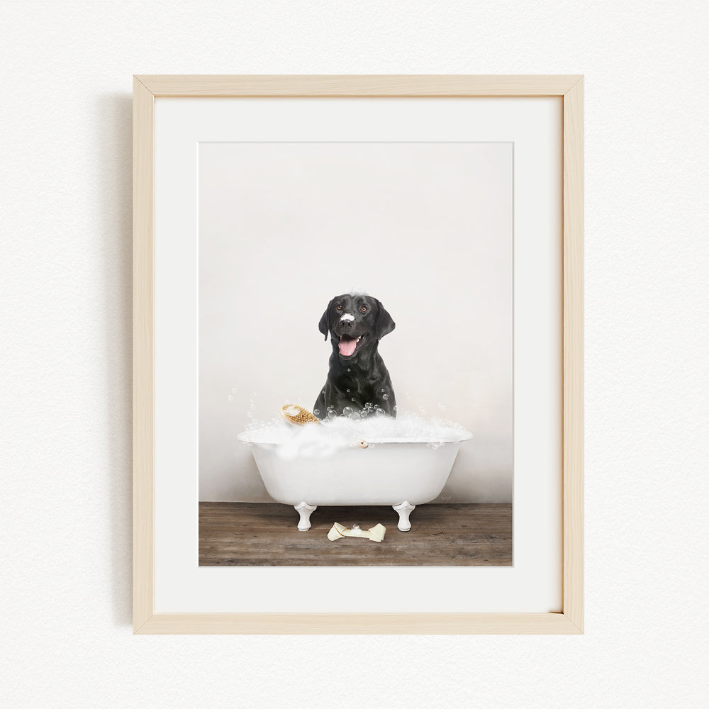 A black dog sitting in a white bathtub filled with bubbles, appearing to enjoy the bath.