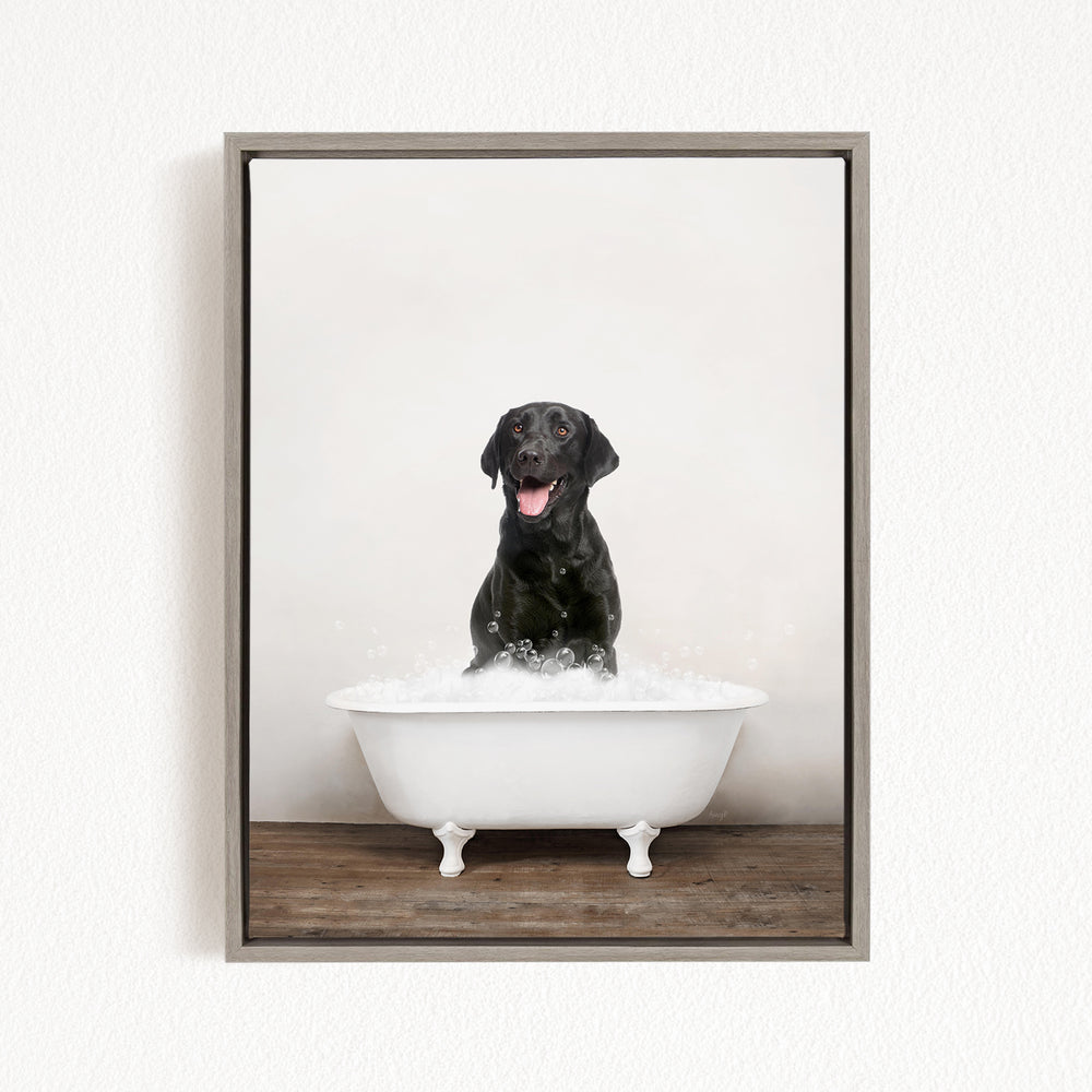 A black dog sitting in a white bathtub filled with bubbles, looking happy and relaxed.