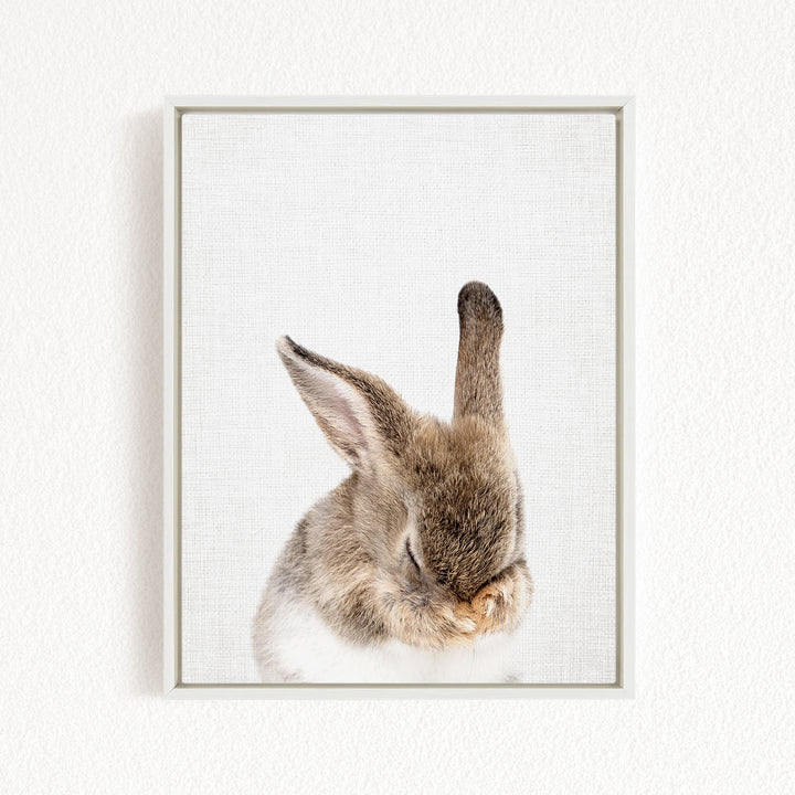 A cute, fluffy rabbit with its head resting on its paws, captured in a framed photograph.