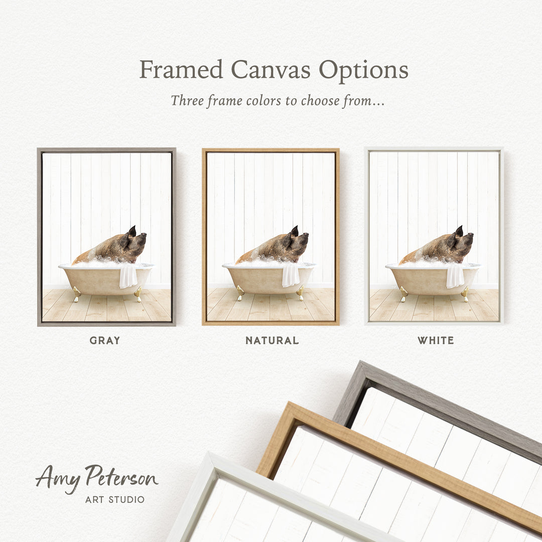 three framed canvas options, each featuring a different color: gray, natural, and white. The text above the images reads " framed Canvas Options" and "Three frame colors to choose from...". The bottom of the image includes the text " Amy Peterson ART STUDIO".