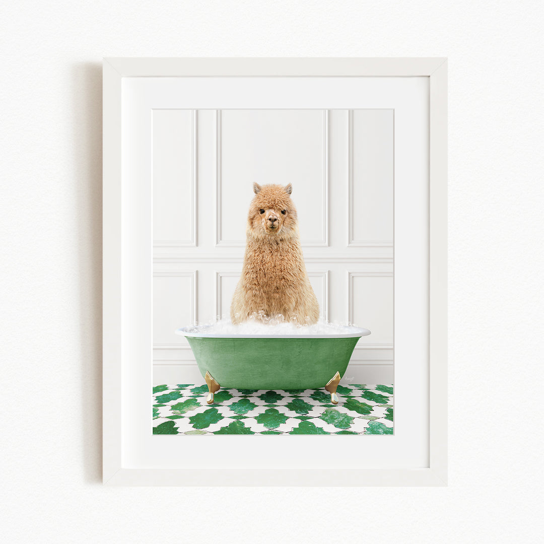 A fluffy brown dog sitting in a green bathtub filled with bubbles, with a white wall and green and white patterned rug in the background.