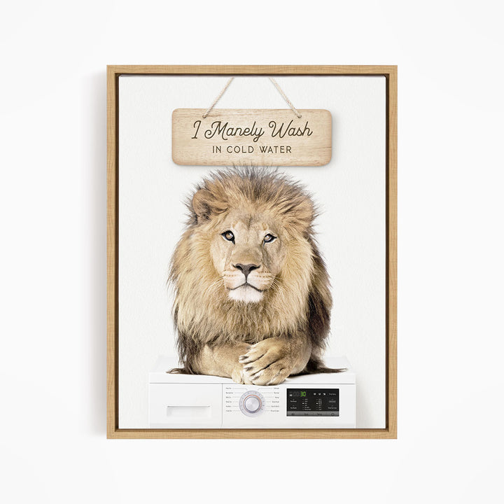 A framed image of a lion sitting on top of a washing machine, with a sign above that says "I Manely Wash in Cold Water".