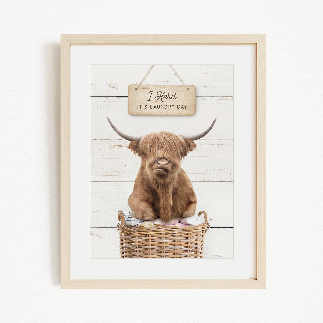 A framed image of a Highland cow sitting in a wicker basket, with a sign above it that says "I herd it's laundry day".